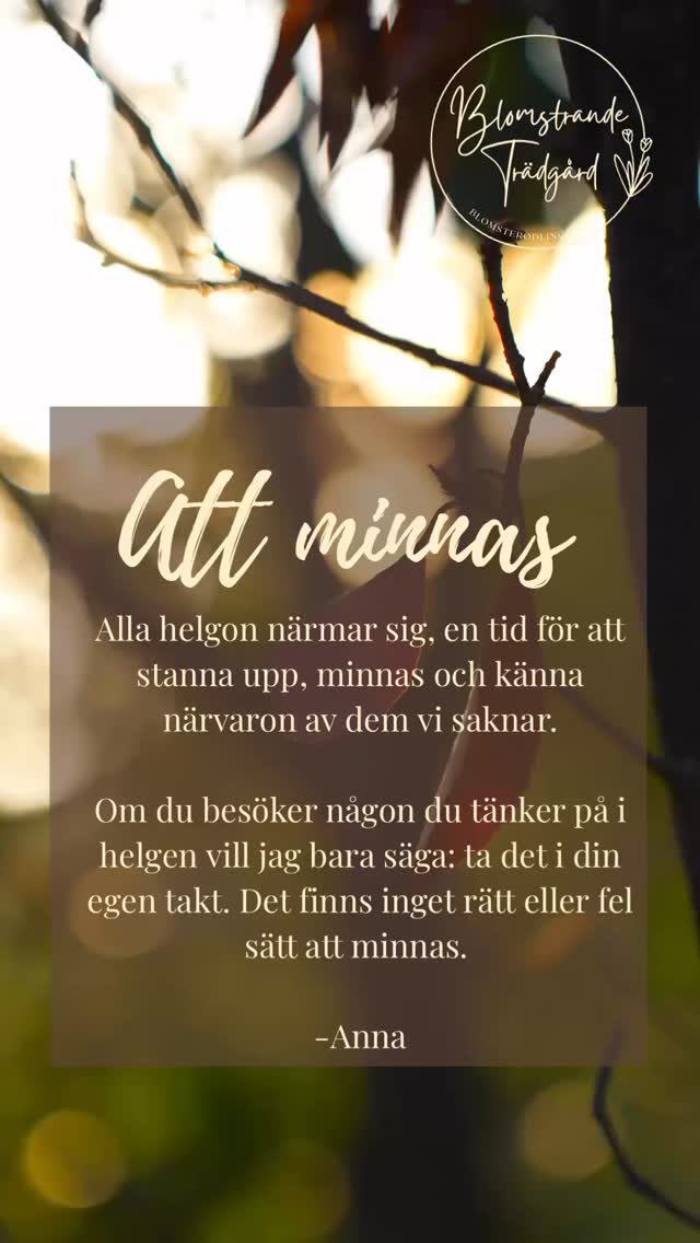 Instagram post from blomstrande.tradgard. This post is in position 14.