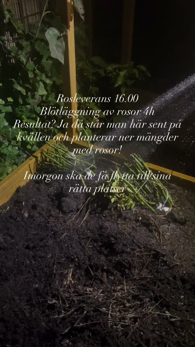 Instagram post from blomstrande.tradgard. This post is in position 15.