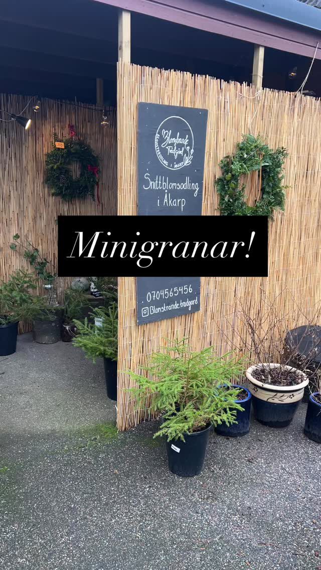 Instagram post from blomstrande.tradgard. This post is in position 5.