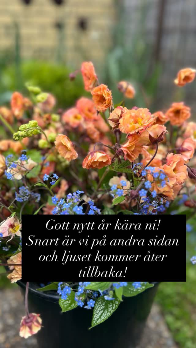 Instagram post from blomstrande.tradgard. This post is in position 2.